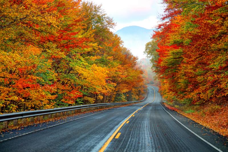 Top Notch Used Car’s Top Road Trip Destinations
